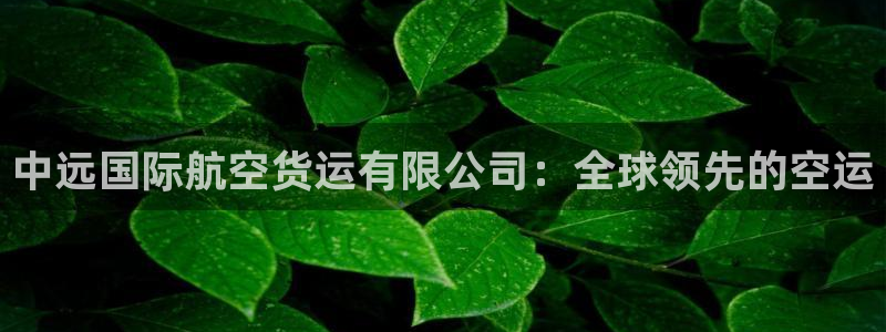 尊龙会ktv价格：中远国际航空货运有限公司：全球领先的空
