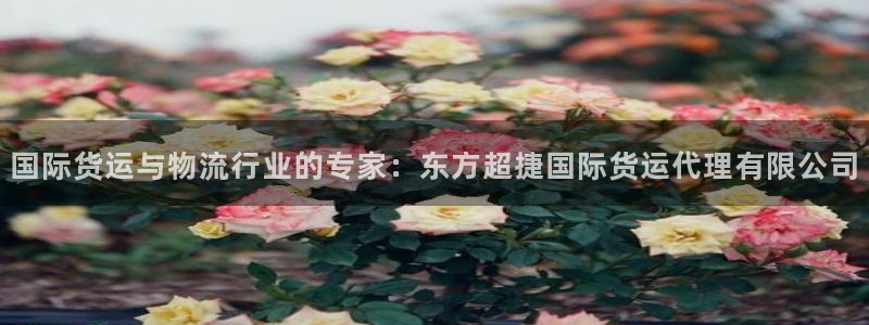 尊龙凯时是大平台吗：国际货运与物流行业的专家：东方超捷国