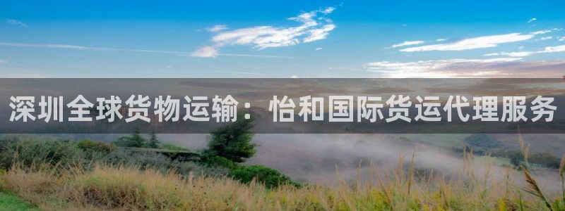 尊龙凯时不给提款：深圳全球货物运输：怡和国际货运代理服务