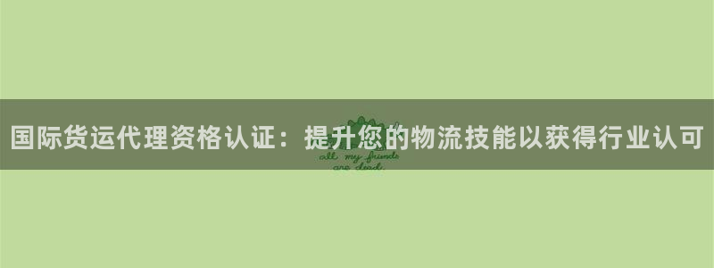 尊龙凯时d5138：国际货运代理资格认证：提升您的物流技