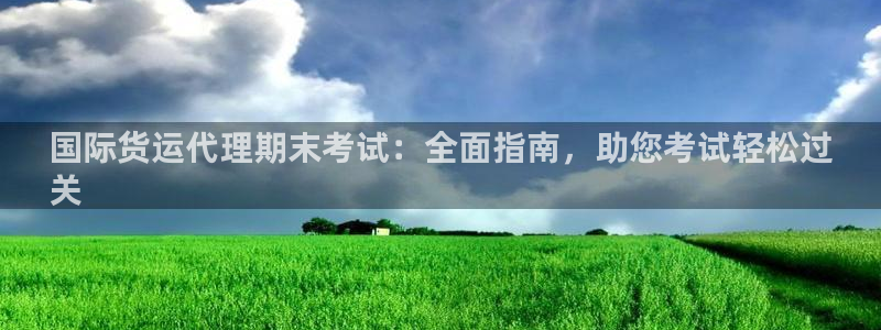 尊龙官网在哪里：国际货运代理期末考试：全面指南，助您考试