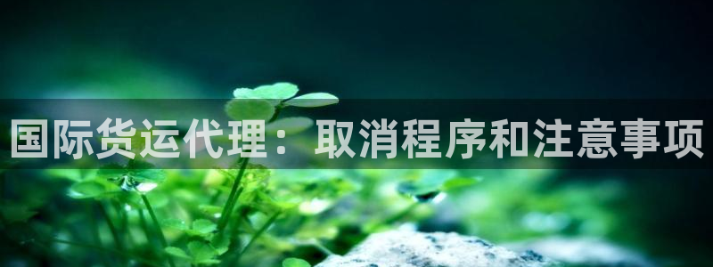 尊龙凯时存款多久到账：国际货运代理：取消程序和注意事项