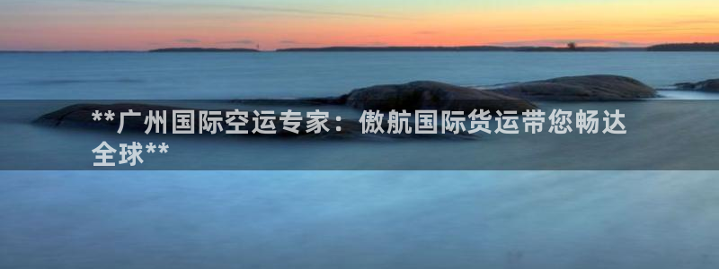 尊龙凯时官方网页：**广州国际空运专家：傲航国际货运带您