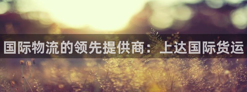 尊龙官方平台：国际物流的领先提供商：上达国际货运