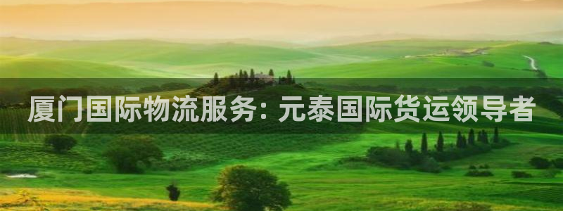 尊龙凯时可以提现吗：厦门国际物流服务: 元泰国际货运领导