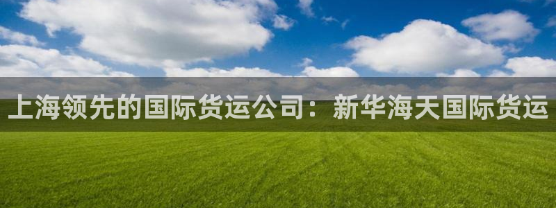 尊龙人生就是博下载：上海领先的国际货运公司：新华海天国际