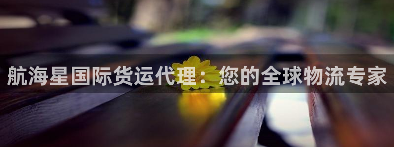 尊龙凯时赞助：航海星国际货运代理：您的全球物流专家