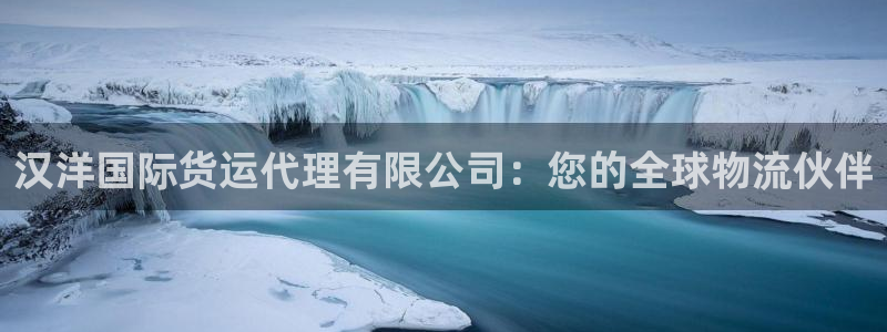 尊龙t200：汉洋国际货运代理有限公司：您的全球物流伙伴
