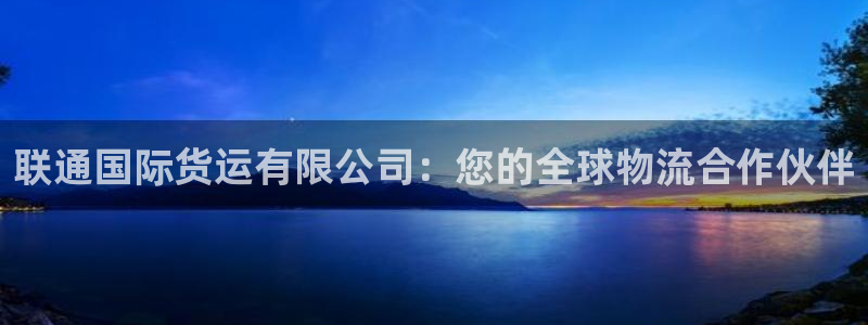尊龙网站注册网：联通国际货运有限公司：您的全球物流合作伙