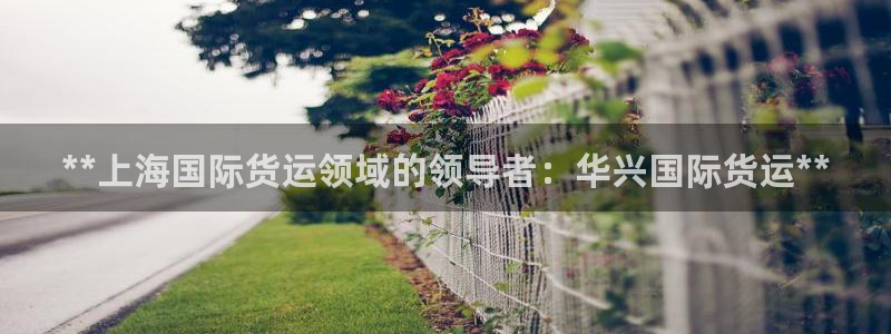 尊龙精品棋牌：**上海国际货运领域的领导者：华兴国际货运