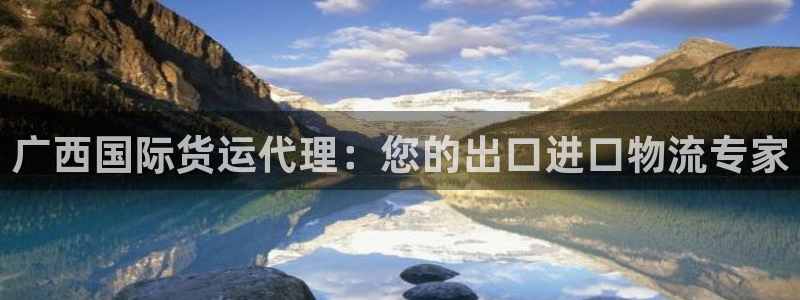 尊龙凯时城娱乐：广西国际货运代理：您的出口进口物流专家