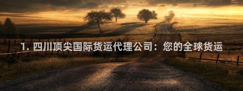 尊龙凯时输了100万：1. 四川顶尖国际货运代理公司：您