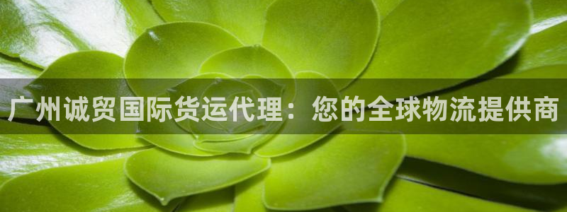 尊龙凯时-人生就是博中国官网：广州诚贸国际货运代理：您的