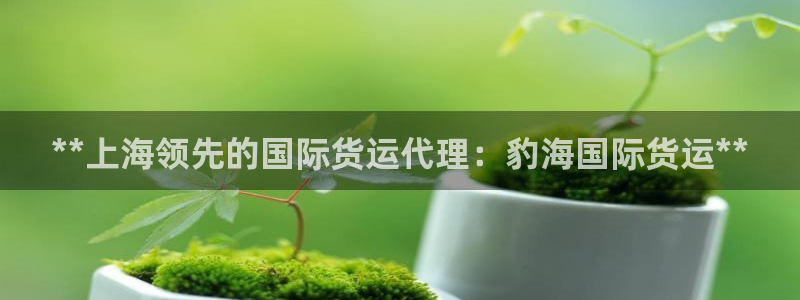 尊龙王t400：**上海领先的国际货运代理：豹海国际货运