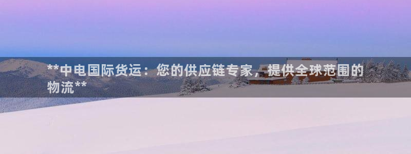 尊龙平台有谁玩过：**中电国际货运：您的供应链专家，提供