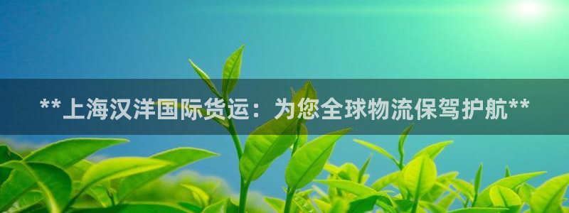 尊龙d88手机版下载：**上海汉洋国际货运：为您全球物流