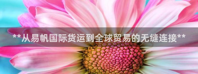 z6尊龙凯时集团：**从易帆国际货运到全球贸易的无缝连接