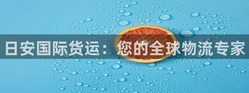 尊龙凯时平台怎么样：日安国际货运：您的全球物流专家