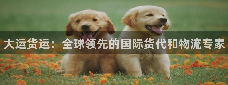 尊龙网址是多少：大运货运：全球领先的国际货代和物流专家