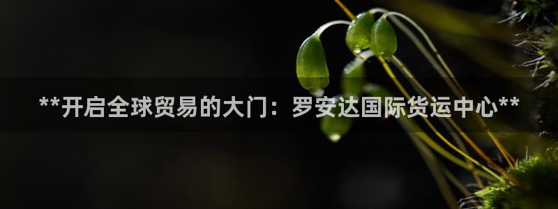 尊龙凯时链接：**开启全球贸易的大门：罗安达国际货运中心