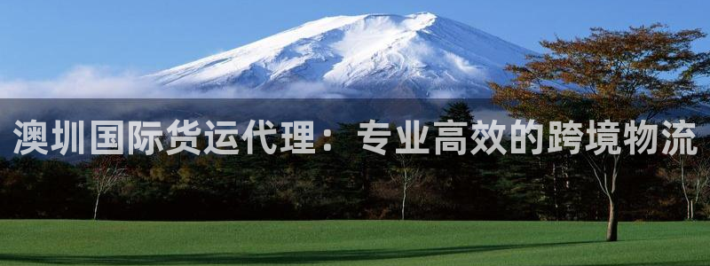 尊龙t400和尊龙t300区别：澳圳国际货运代理：专业高