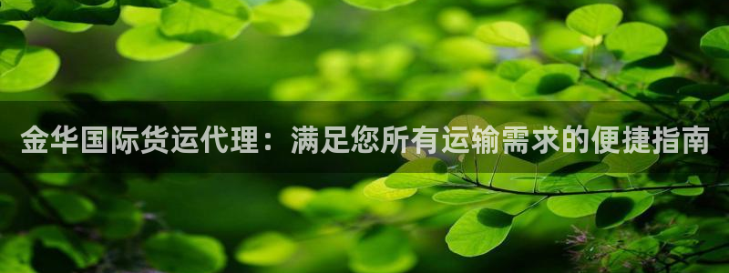 尊龙凯时一人生就是博官网：金华国际货运代理：满足您所有运