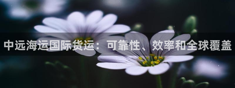 尊龙凯时网站不让提款：中远海运国际货运：可靠性、效率和全