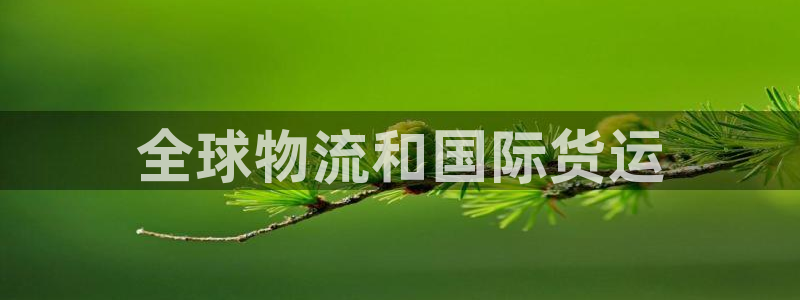 z6com尊龙凯时代理：全球物流和国际货运