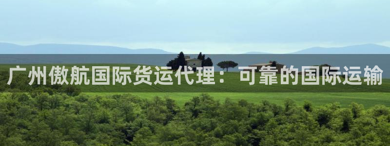 尊龙凯时旗舰厅官网：广州傲航国际货运代理：可靠的国际运输