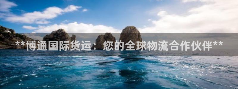尊龙人生就是博AG：**博通国际货运：您的全球物流合作伙