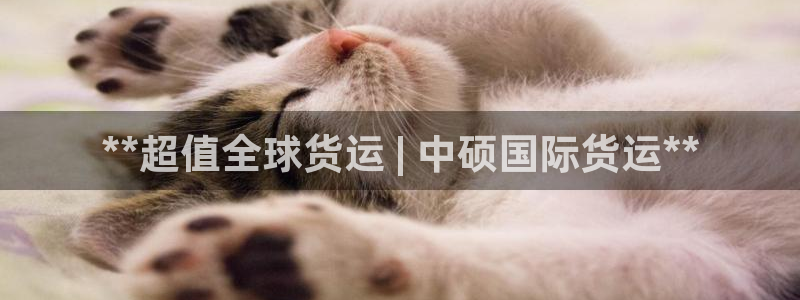 尊龙凯时人生就是搏客户：**超值全球货运 | 中硕国际货