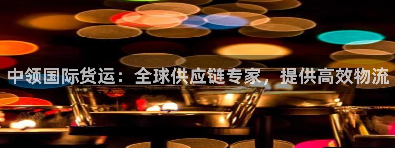 尊龙凯时的企业文化：中领国际货运：全球供应链专家，提供高