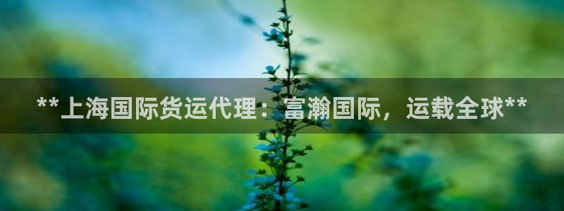 尊龙凯时不给提现怎么办：**上海国际货运代理：富瀚国际，