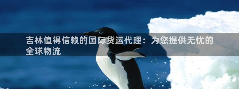 尊龙集团有限公司：吉林值得信赖的国际货运代理：为您提供无