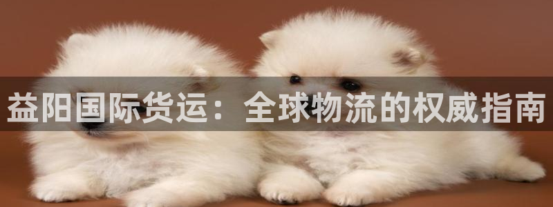 尊龙现金推荐ag发财网：益阳国际货运：全球物流的权威指南