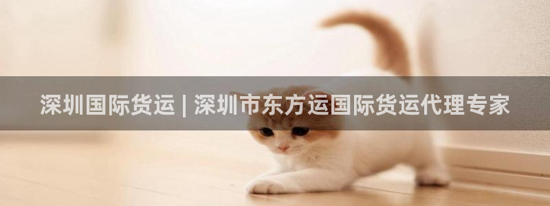 尊龙实业有限公司属于国企吗：深圳国际货运 | 深圳市东方