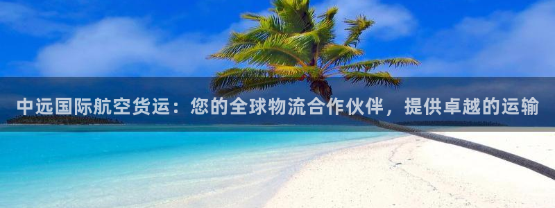 尊龙凯时官网：中远国际航空货运：您的全球物流合作伙伴，提
