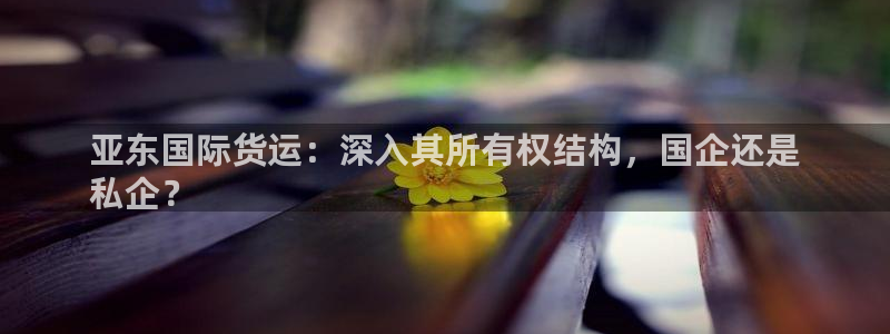 尊龙凯时贴吧：亚东国际货运：深入其所有权结构，国企还是
