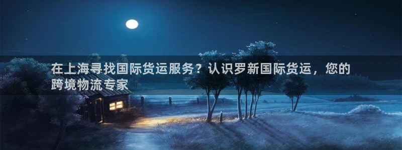 尊龙凯时产品系列：在上海寻找国际货运服务？认识罗新国际货