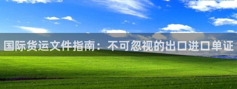 尊龙凯时导航菜单首页：国际货运文件指南：不可忽视的出口进