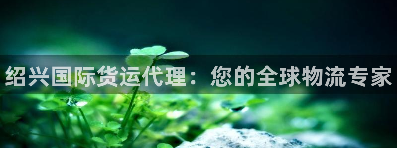 尊龙2020：绍兴国际货运代理：您的全球物流专家