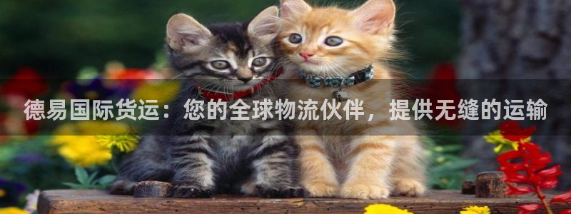尊龙现金：德易国际货运：您的全球物流伙伴，提供无缝的运输
