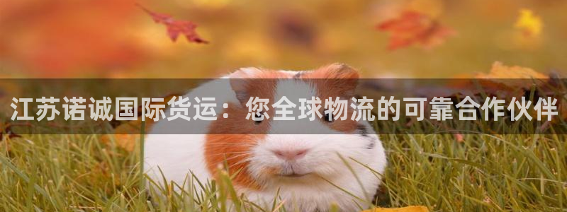 尊龙凯时城游戏官网：江苏诺诚国际货运：您全球物流的可靠合