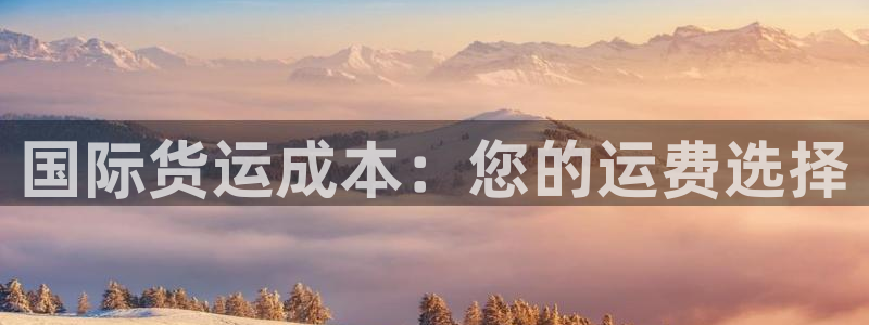 尊龙d88平台：国际货运成本：您的运费选择