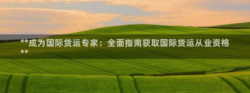 尊龙现金推荐ag发财网：**成为国际货运专家：全面指南获