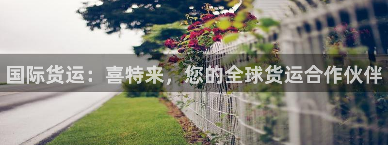 尊龙内地：国际货运：喜特来，您的全球货运合作伙伴