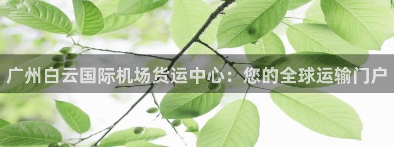 尊龙app最新版本官网：广州白云国际机场货运中心：您的全