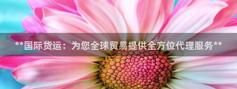 尊龙凯时app官方网站：**国际货运：为您全球贸易提供全
