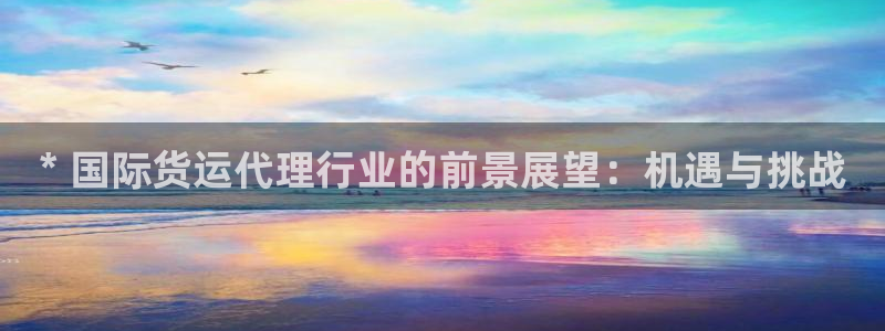 尊龙AG旗舰店：* 国际货运代理行业的前景展望：机遇与挑
