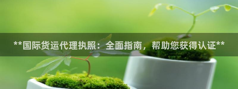 尊龙凯时代理官网入口：**国际货运代理执照：全面指南，帮